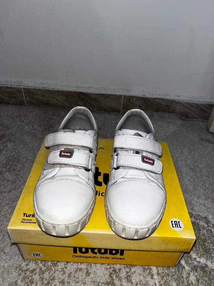 Tutubi