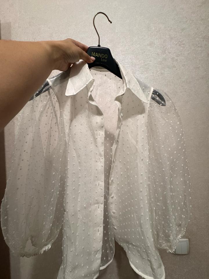 Zara Блузка