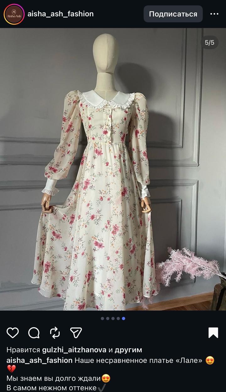 Aisha ash fashion
