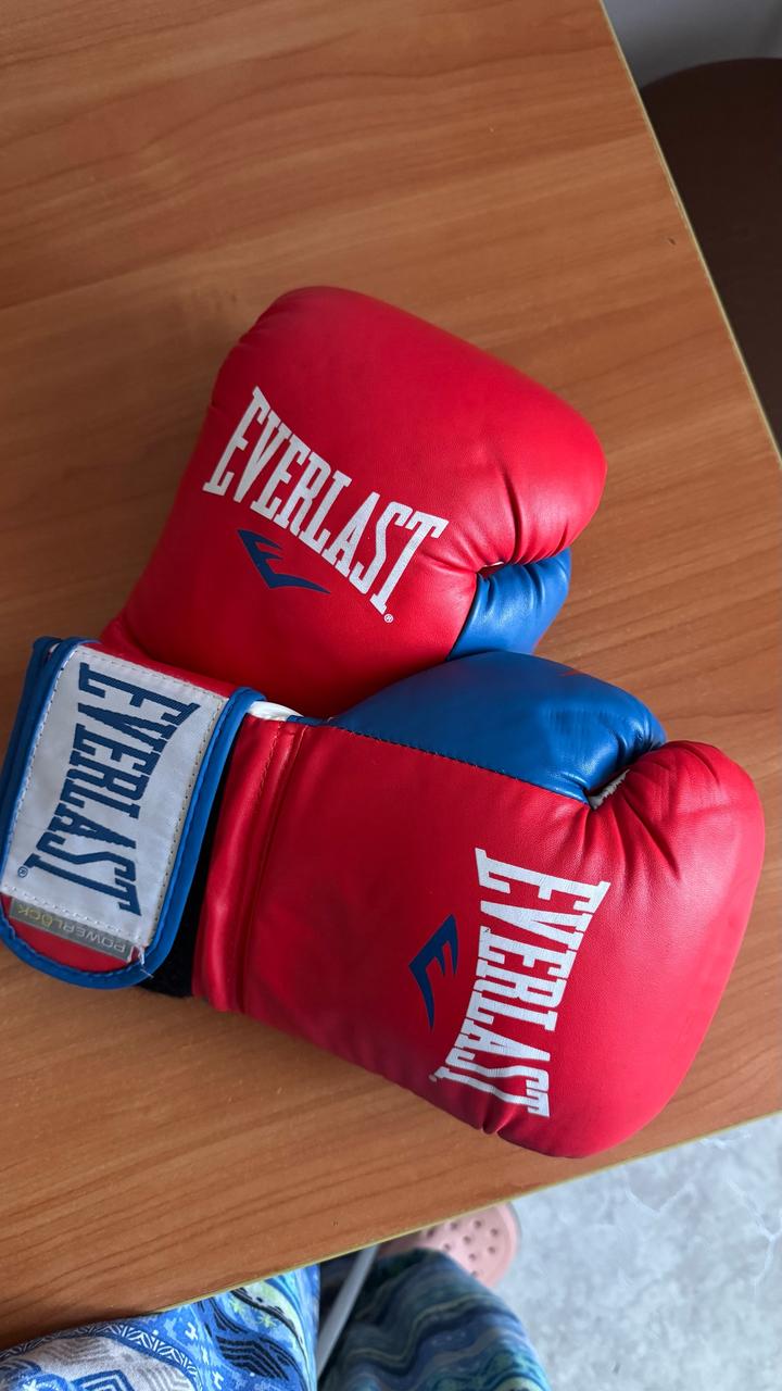 Боксерские перчатки Everlast