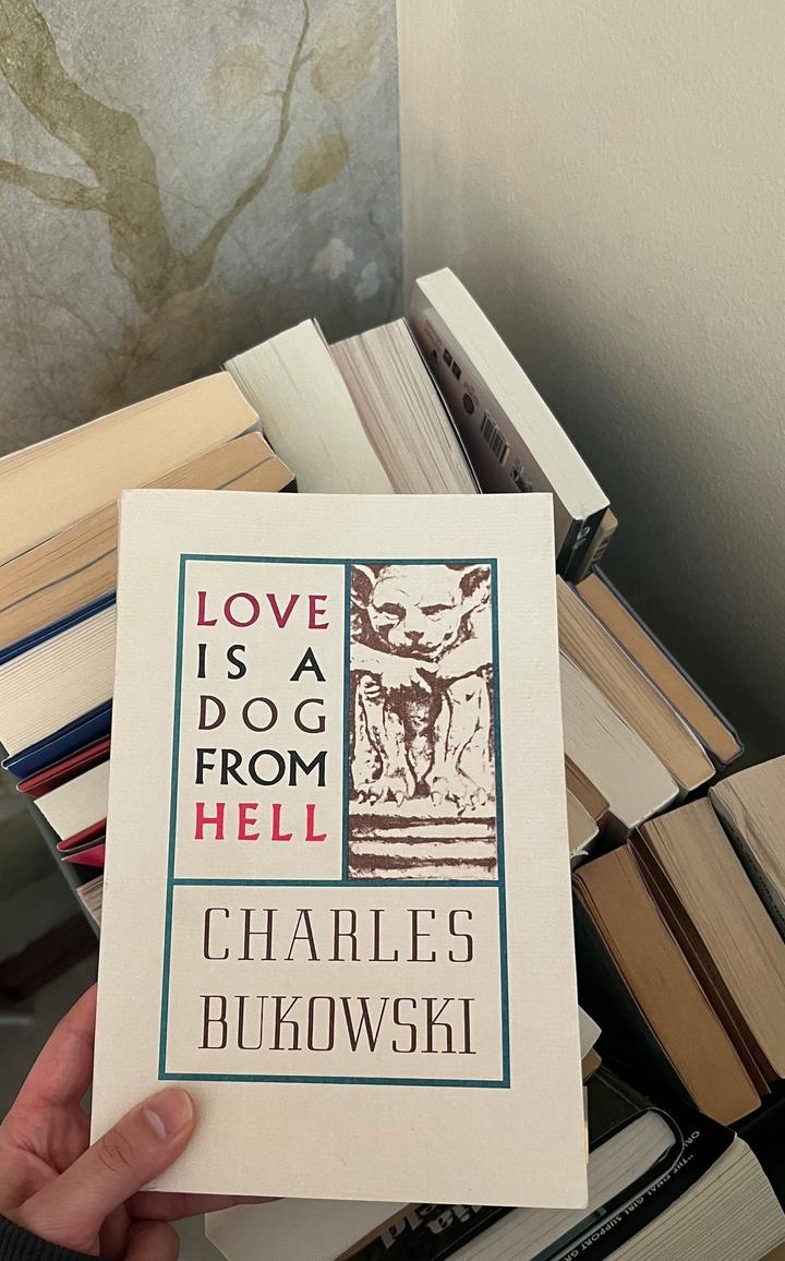 Love Is a Dog from Hell