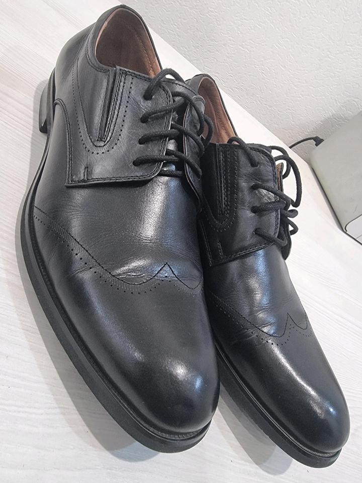 Duca Daretti