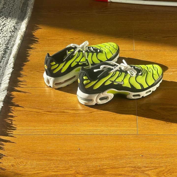 Кроссовки Nike Air Max Plus