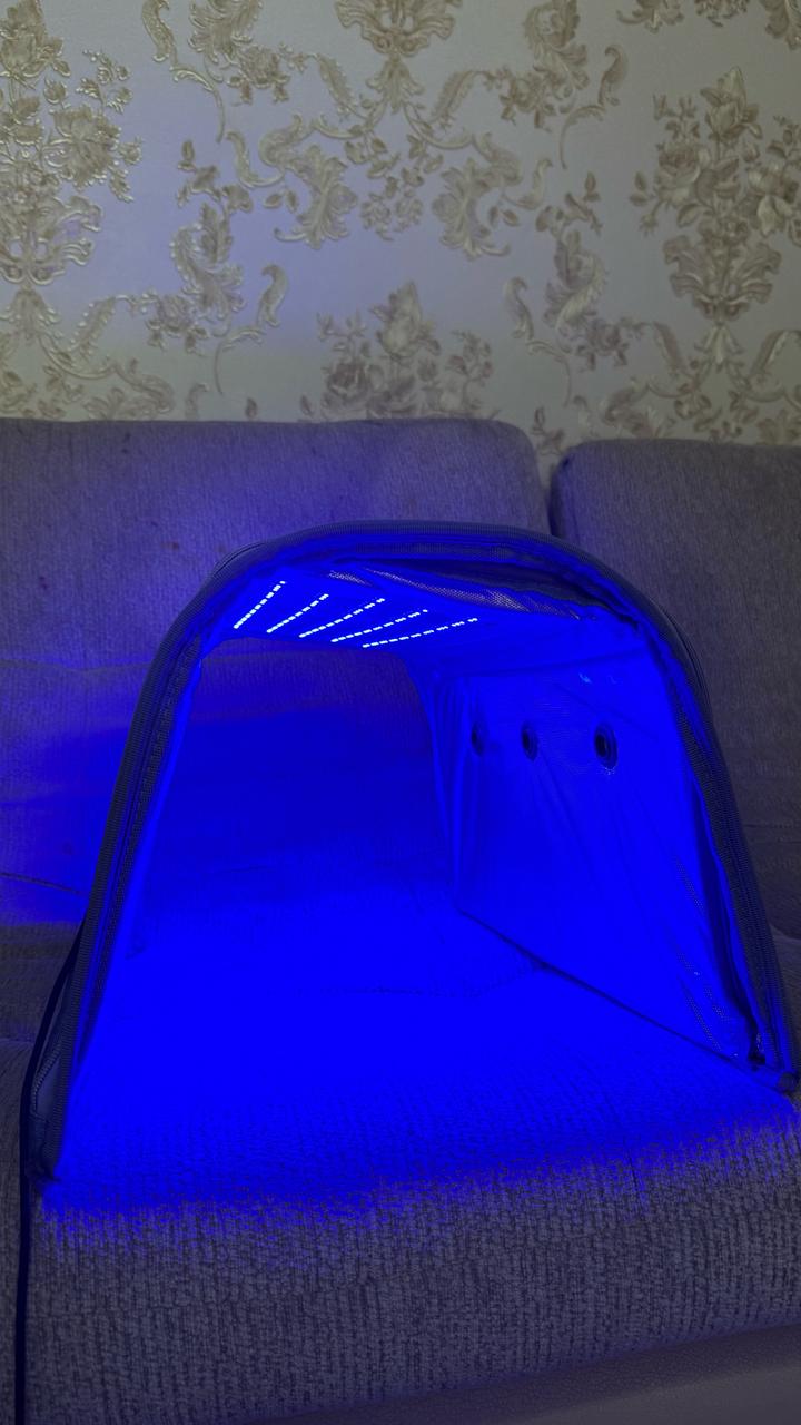 Нет бренда