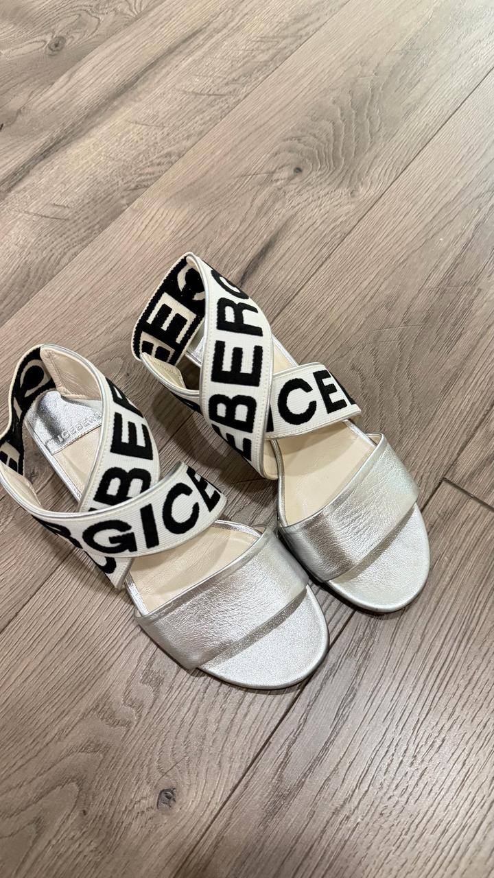 ICEBERG