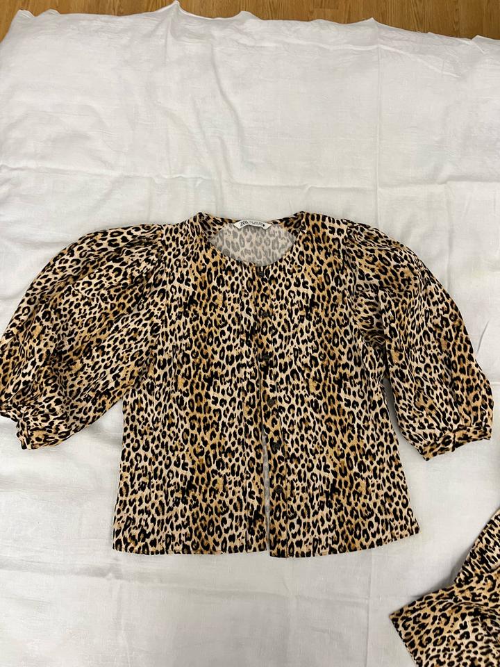Двойка Zara