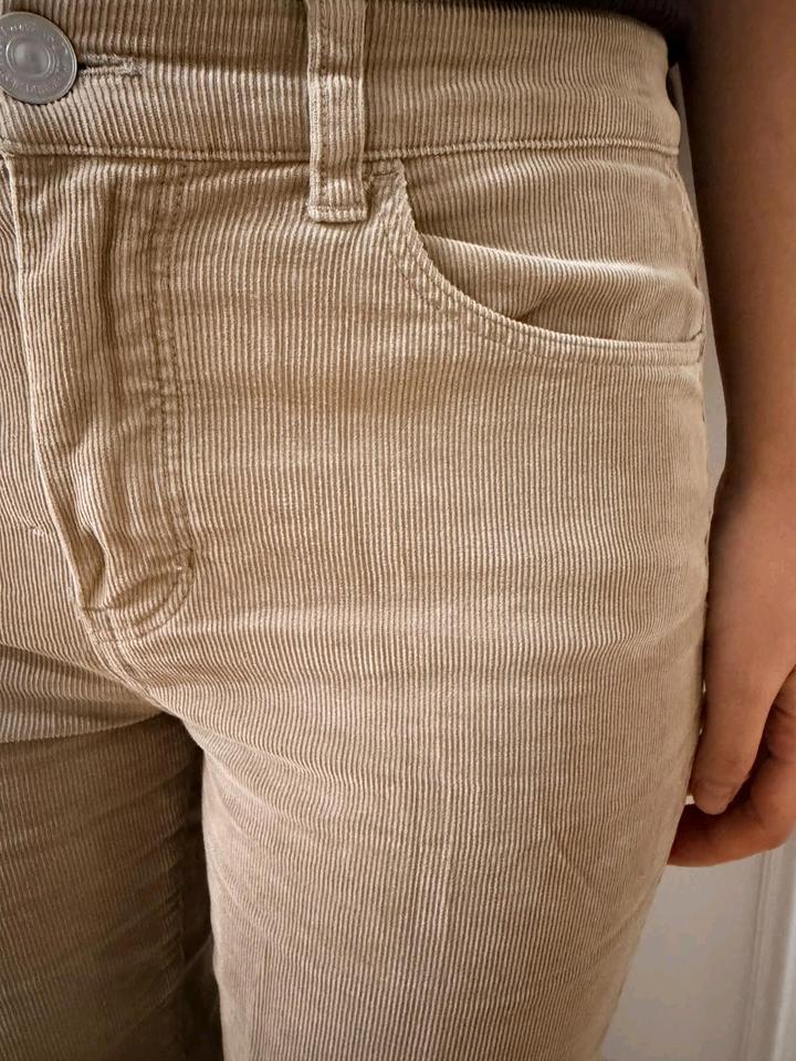 Massimo Dutti Вельвет