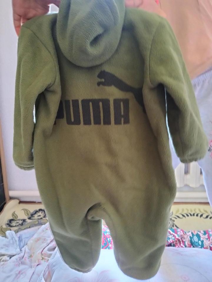 Puma