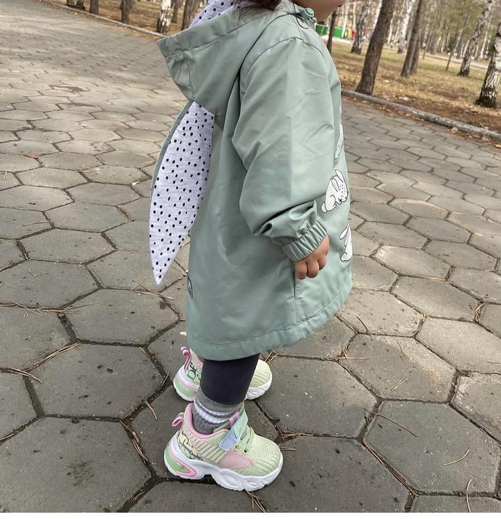 Crockid