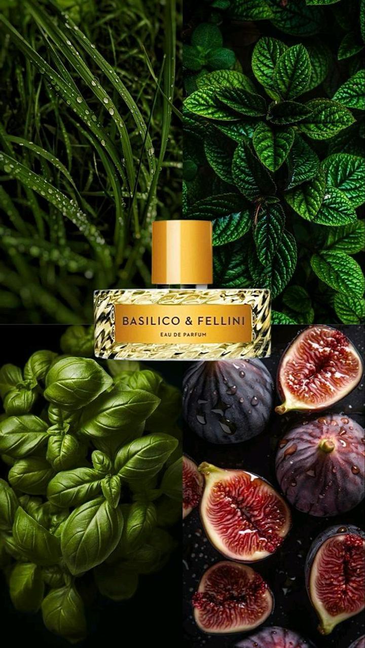 Vilhelm Parfumerie