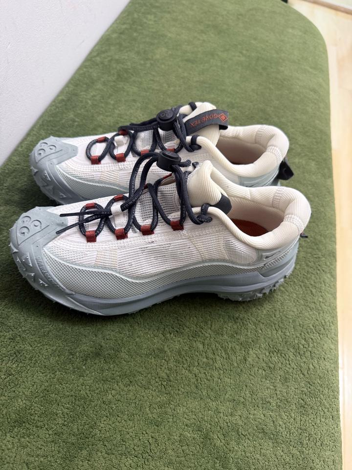 Кроссовки Nike ACG Mountain Fly Low GTX