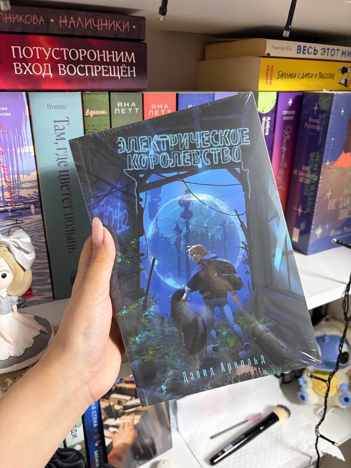 Книга «Электрическое королевство»