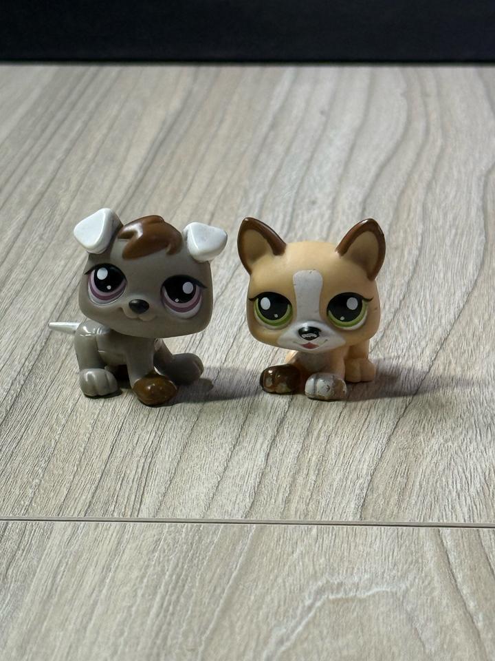 Hasbro