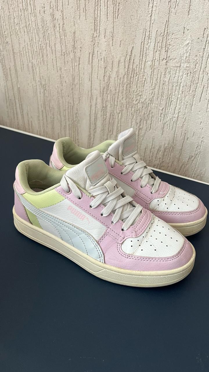 Puma