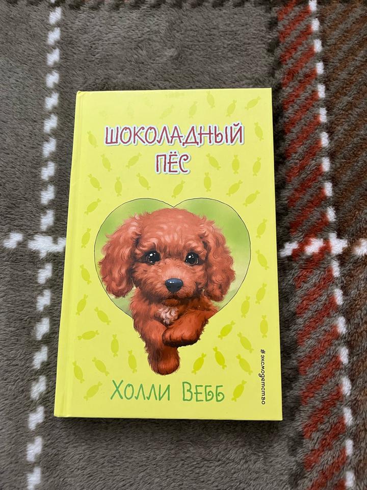 Шоколадный пёс