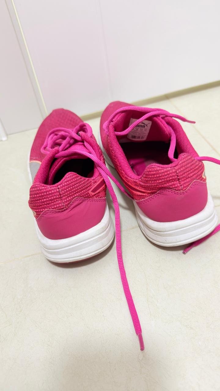 Puma
