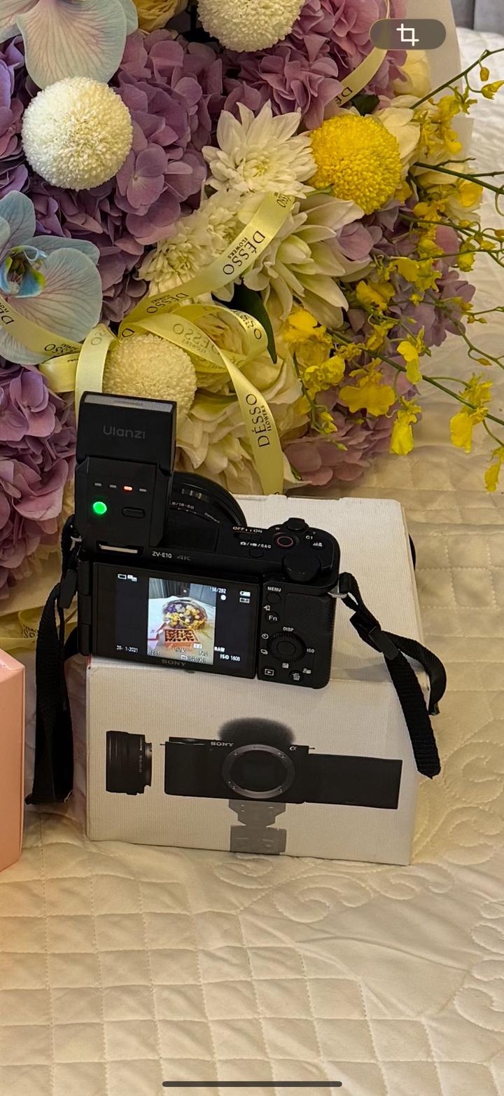 Sony ZV-E10