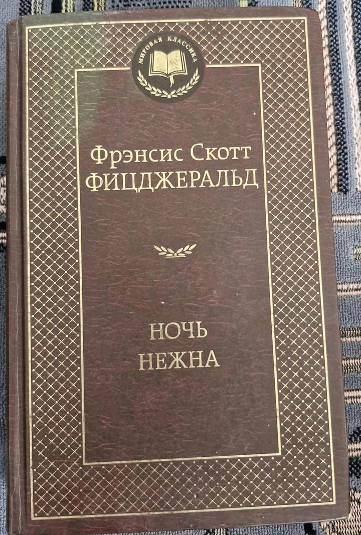 Книга ночь нежна