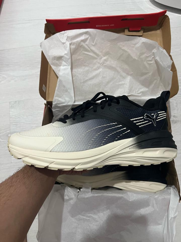 Puma
