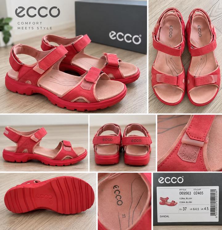 ECCO