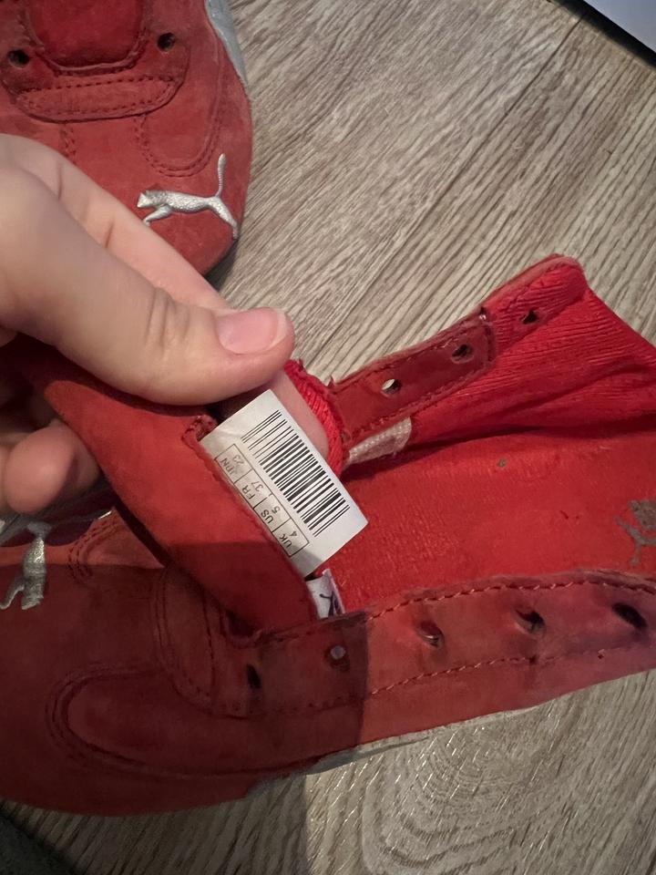 Puma