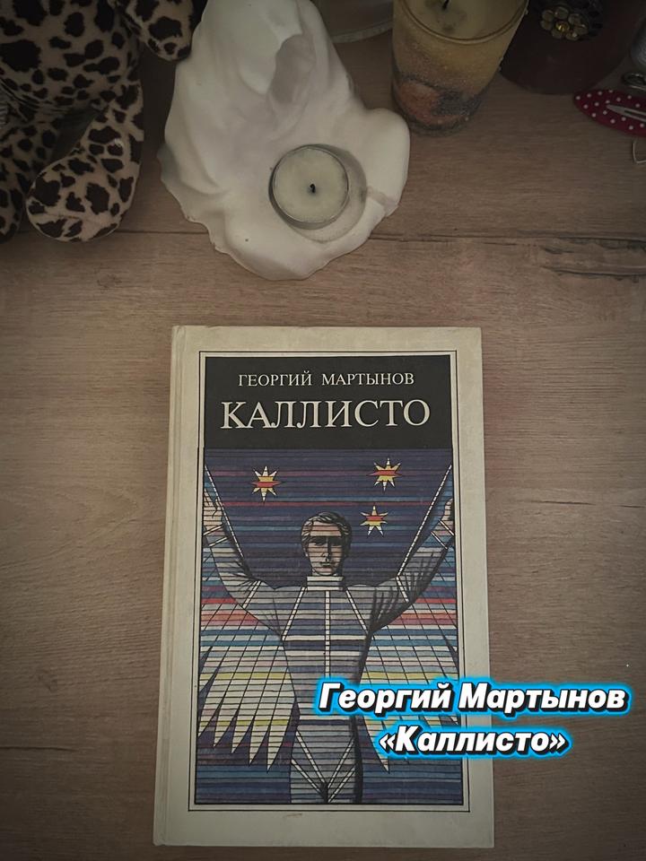 Книга Георгия Мартынова «Каллисто»