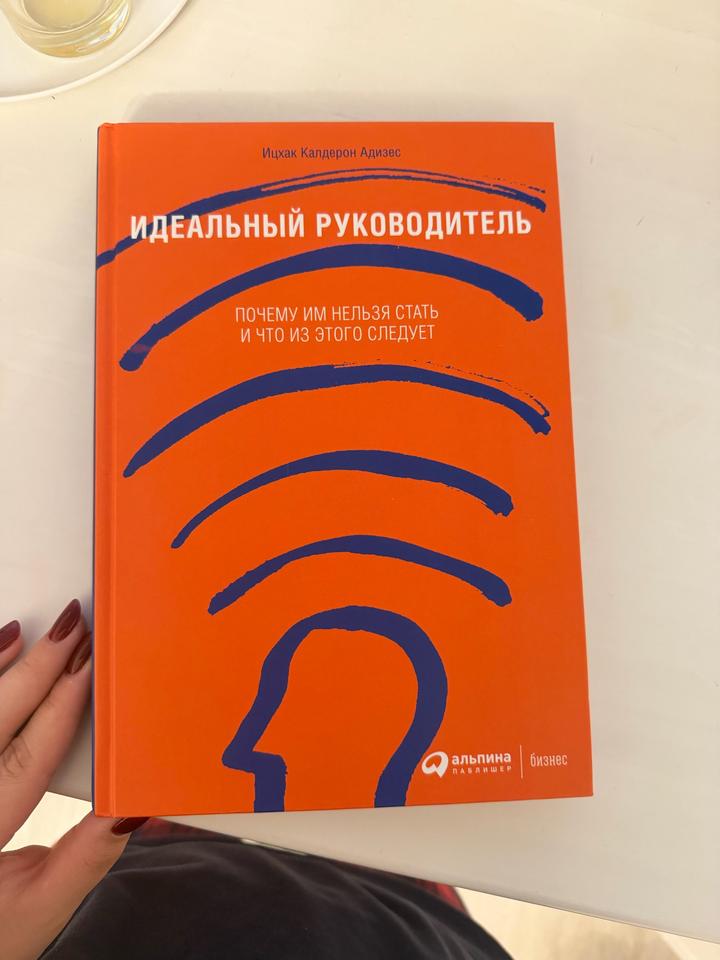 Книга: Идеальный руководитель