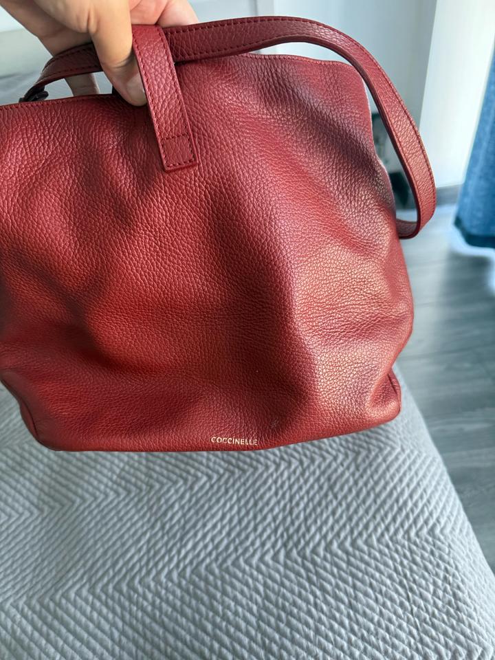 Coccinelle