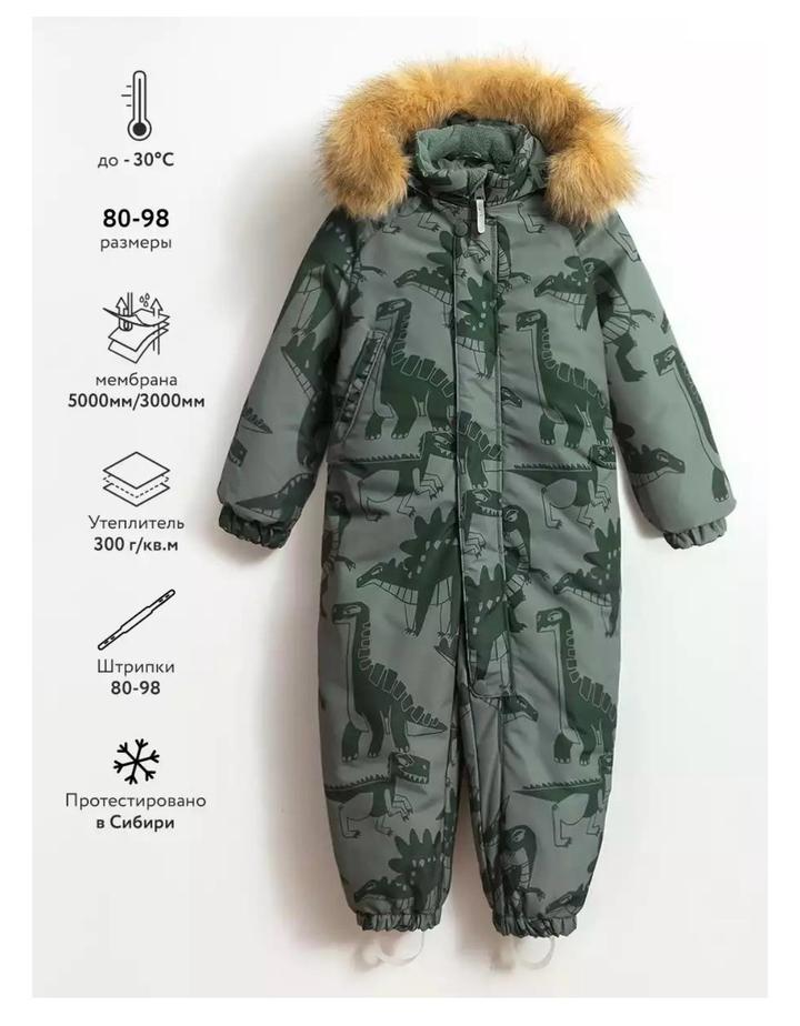 Vulpes