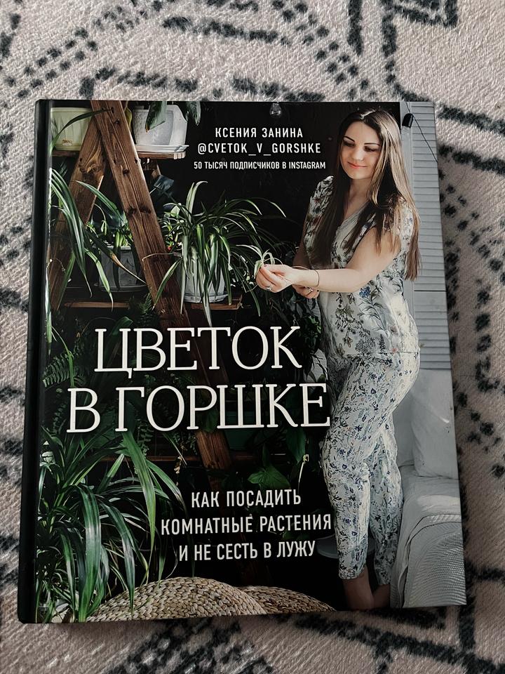 Цветок в горшке / Ксения Занина
