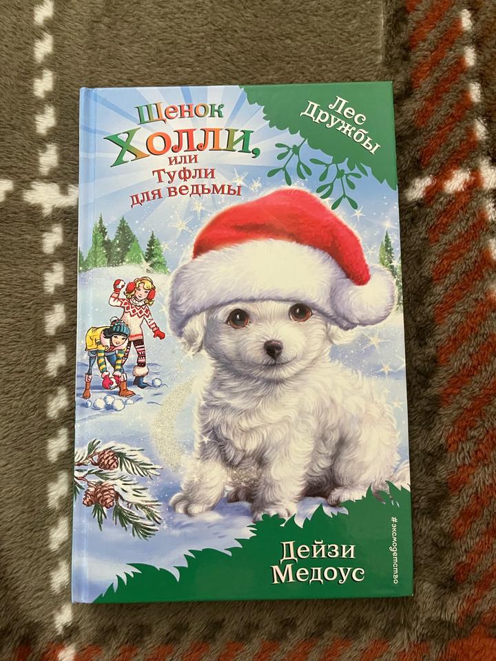 Щенок Холли, или Туфли для ведьмы