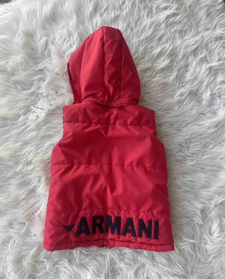 Жилет Armani Junior с капюшоном в клетку