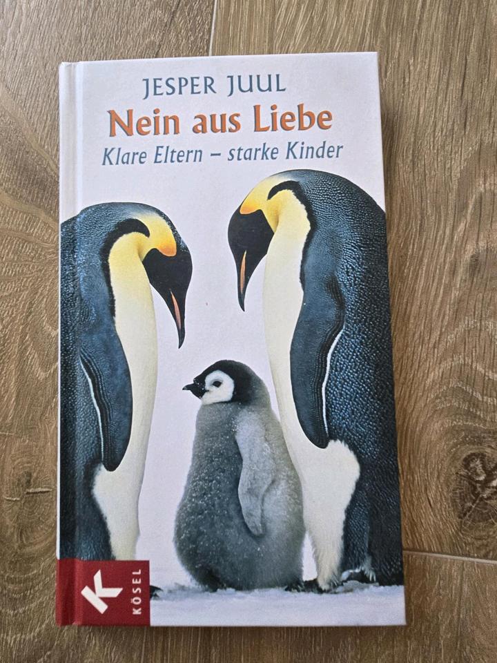 Книга для родителей