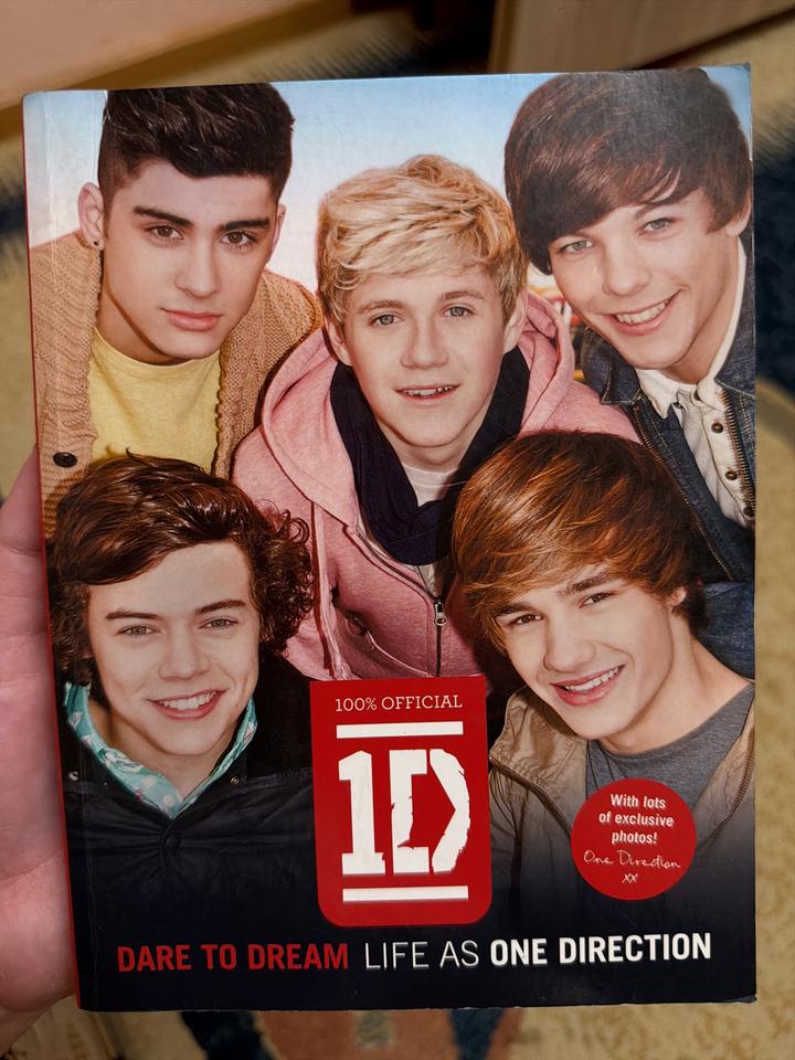Dare to Dream: Life as One Direction
