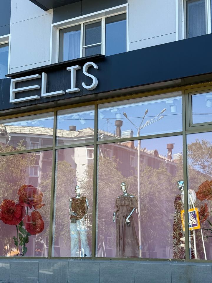 ELIS