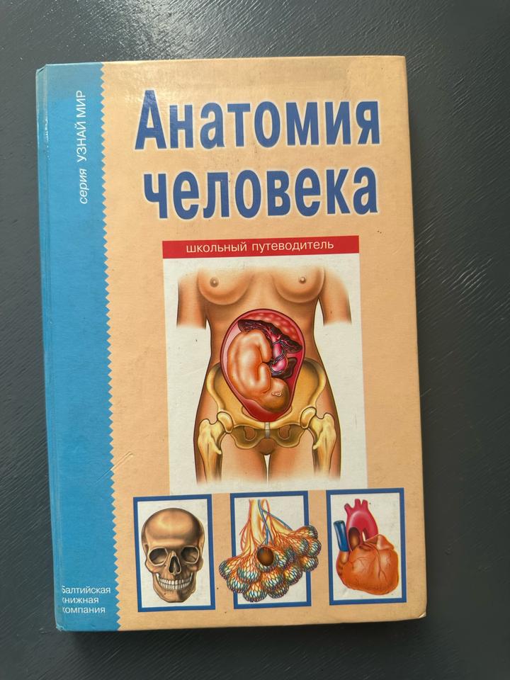 Анатомия человека