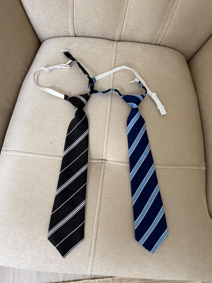 Галстуки цена за двоих