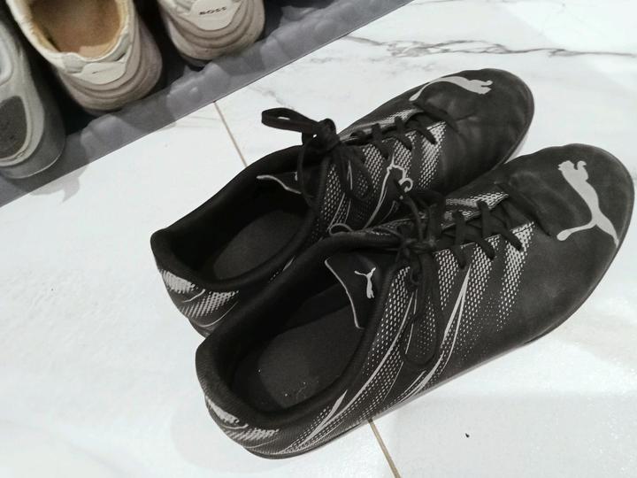 Puma Сороконожки пума