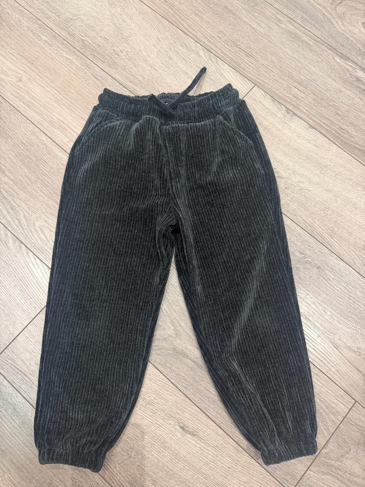 Zara Брюки джоггеры из велюра