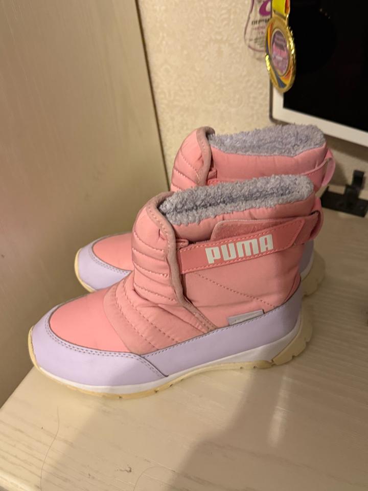 Puma
