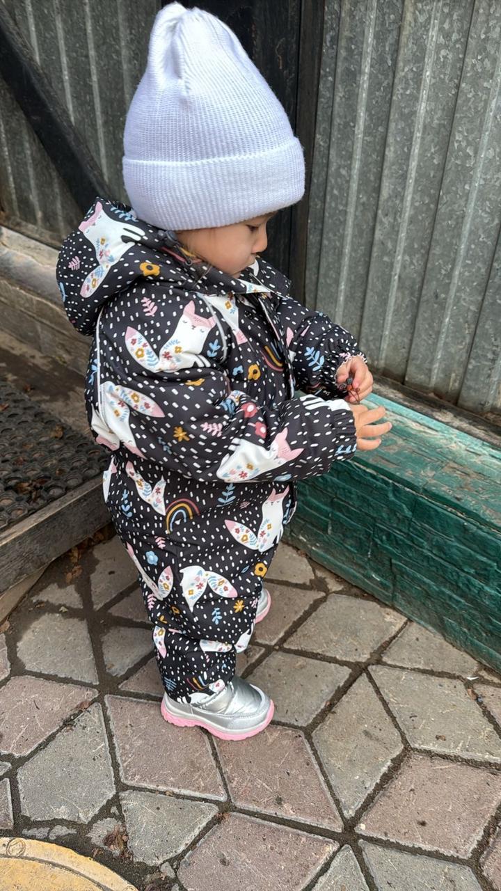 Crockid