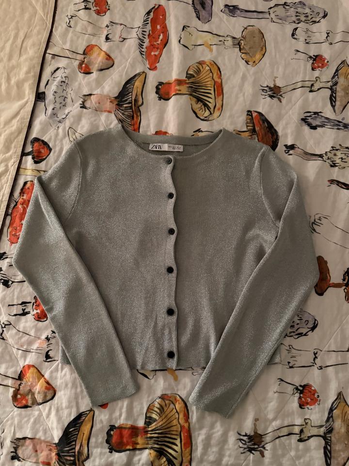 ZARA jacket