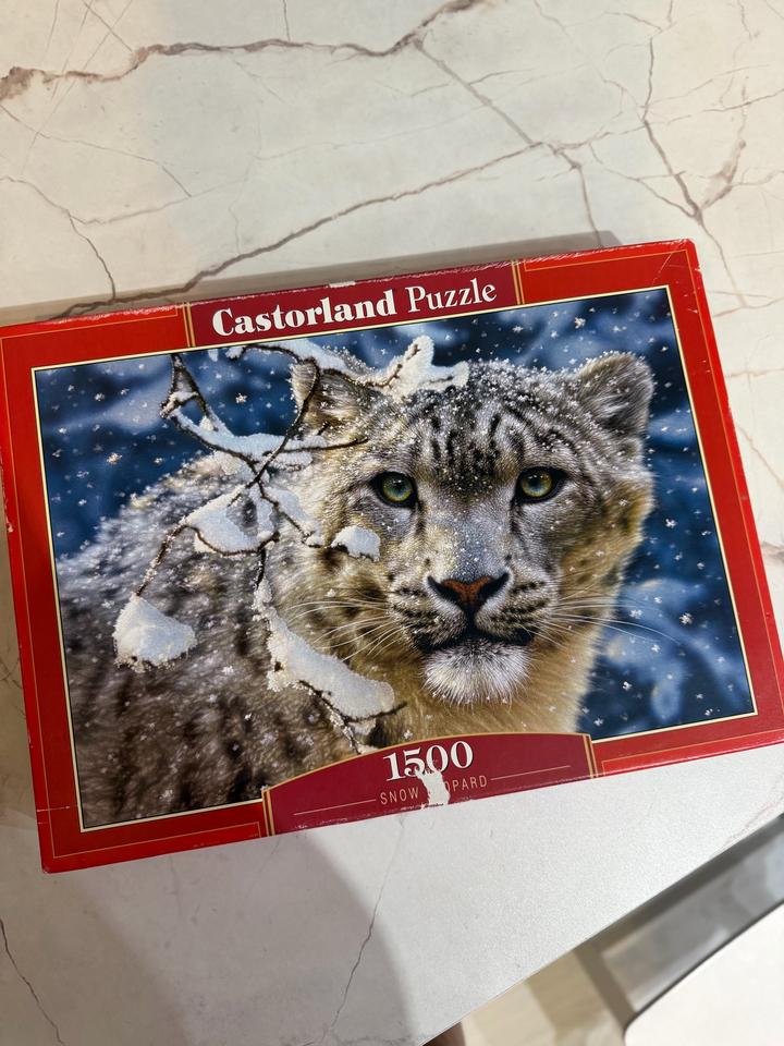 Castorland Пазлы на 1500 шт, «Снежный барс»