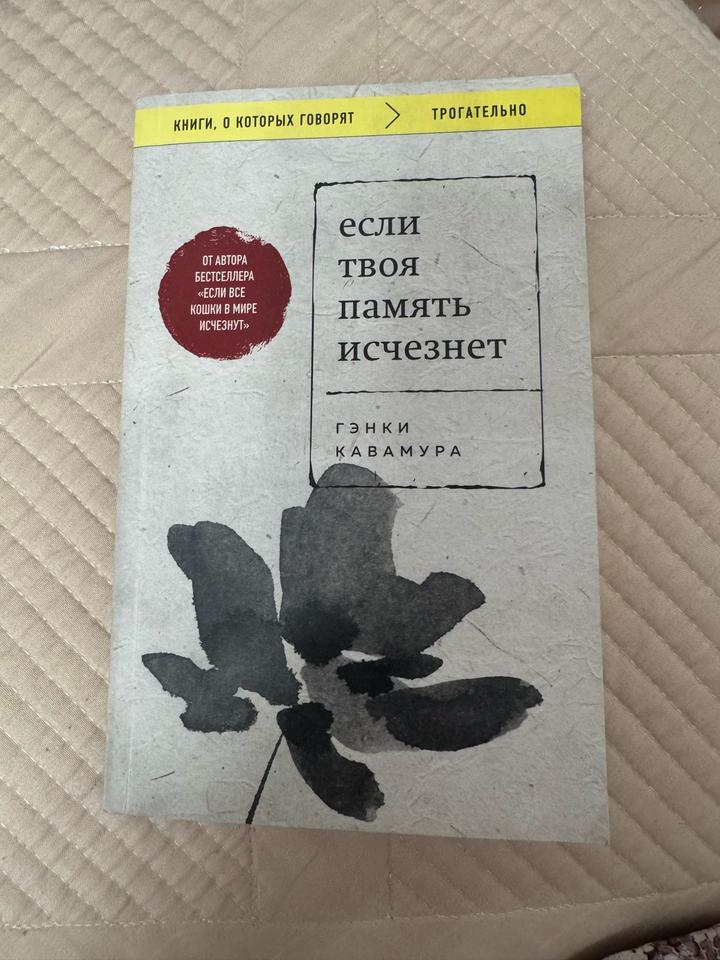 Если твоя память исчезнет
