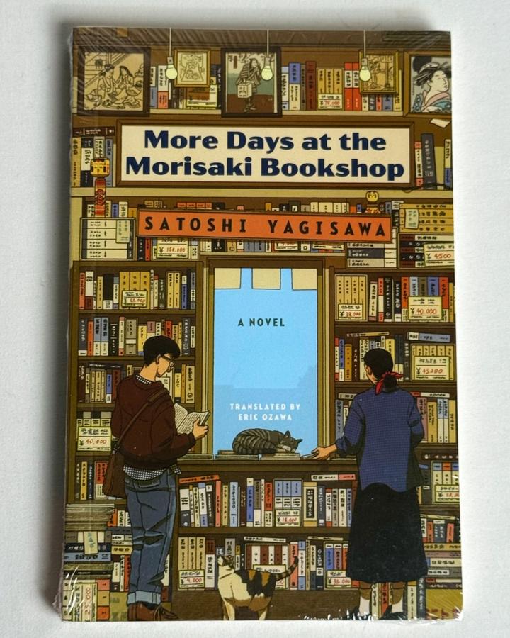 More Days at the Morisaki Bookshop