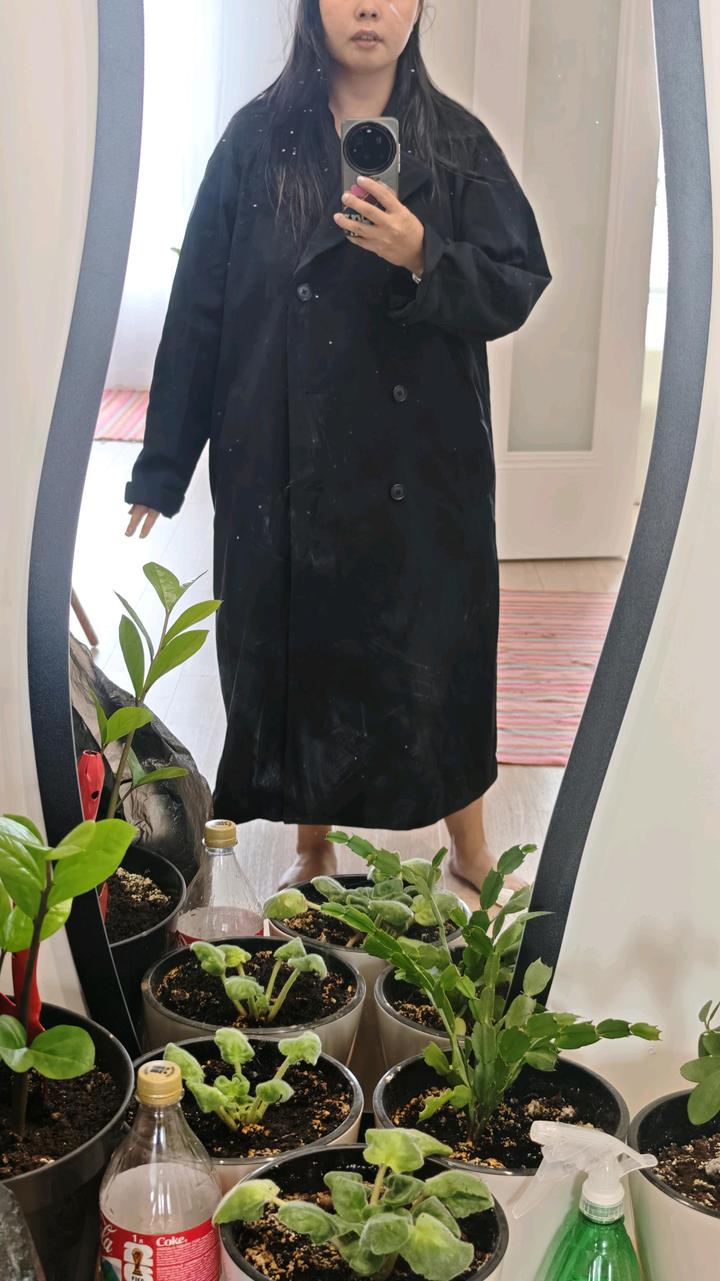 Muji