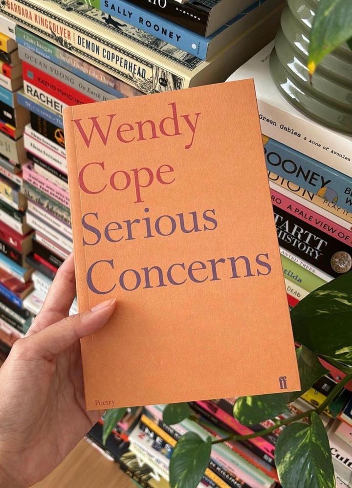 “Serious Concerns” книга на английском