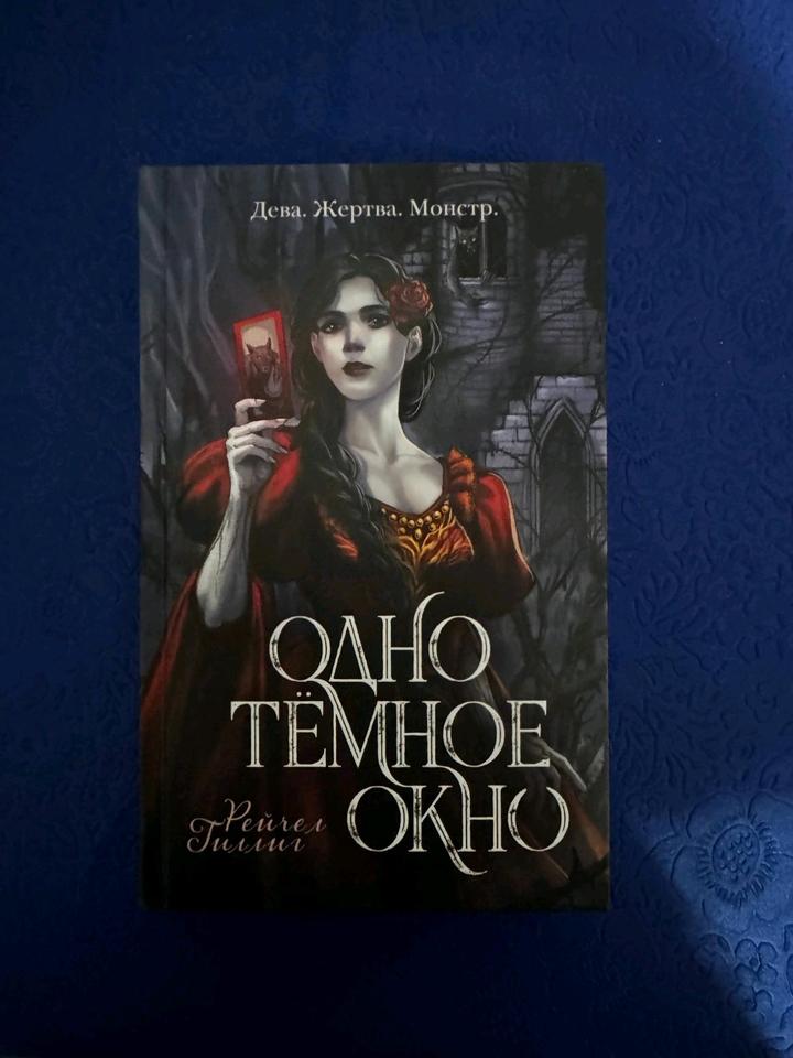Одно темное окно - Рейчел Гиллиг