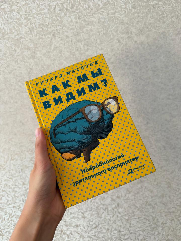 Как мы видим? Книга