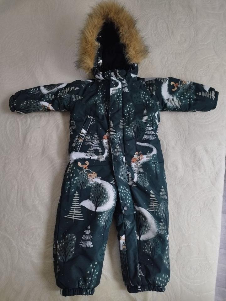 Vulpes
